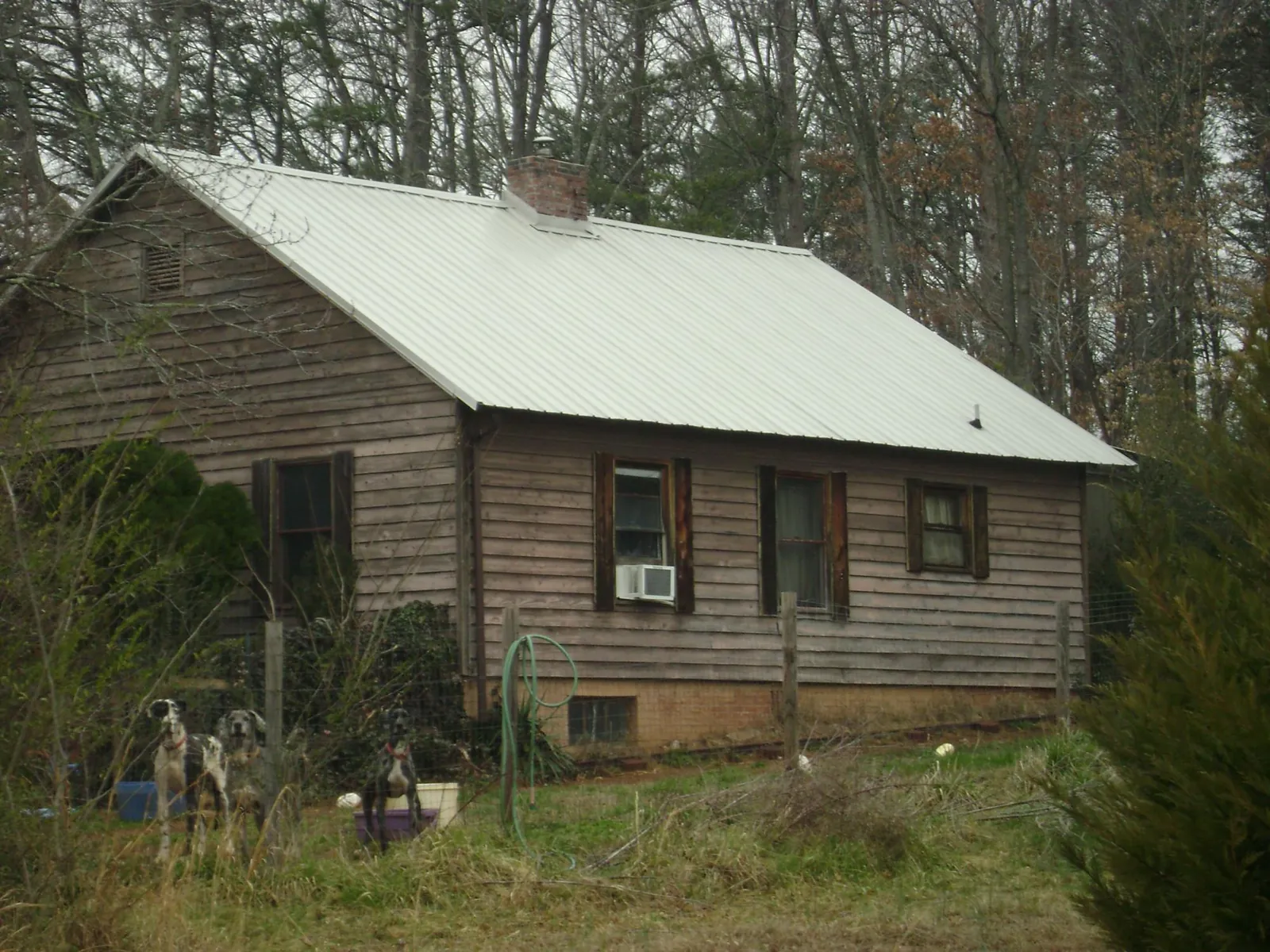 White metal roof on an old wood sided farmhouse, from a Asphalt Shingle Roof Repair job in Athelstane